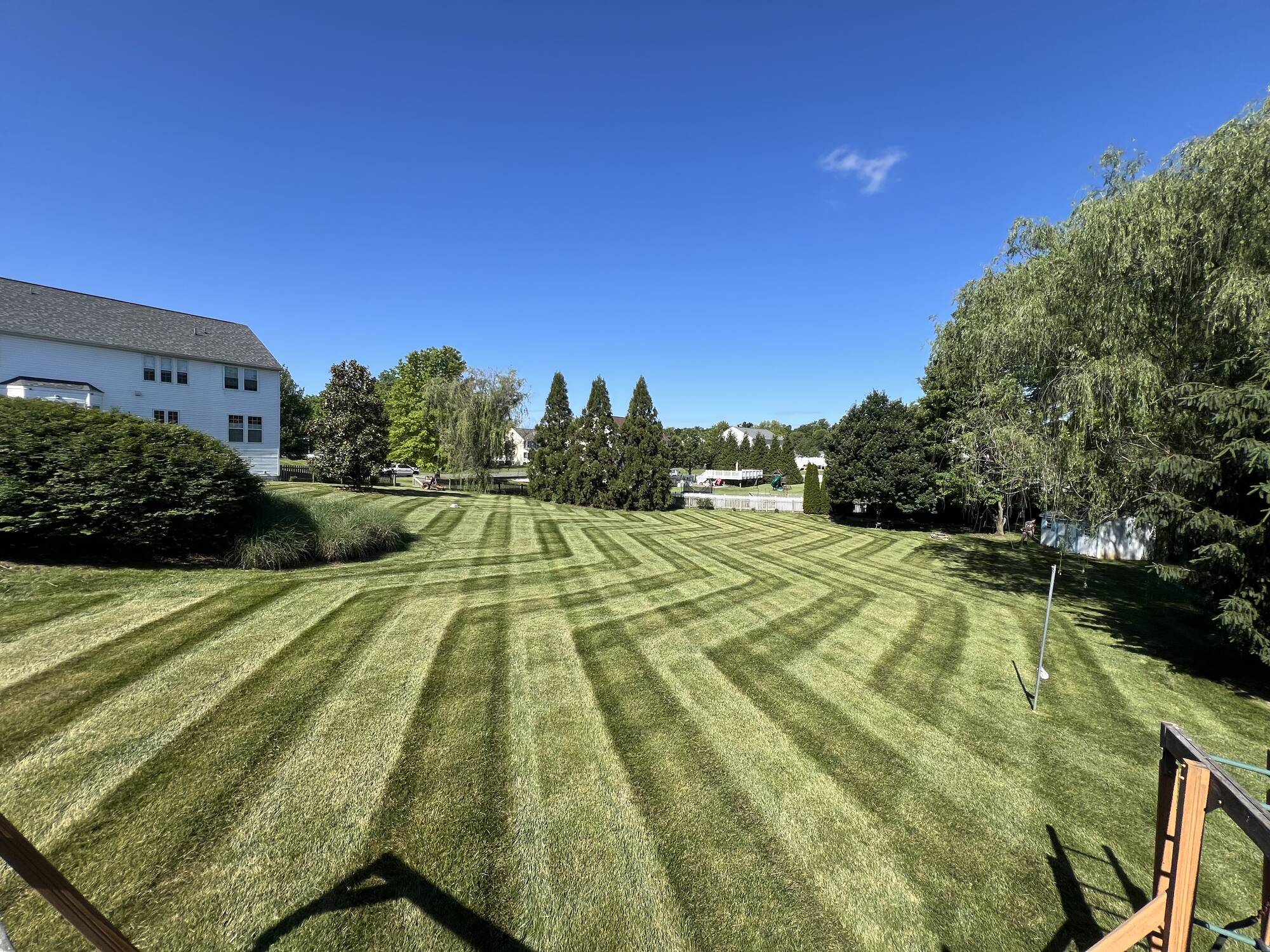 Large open lawn with fresh mowing stripes on a clear summer day